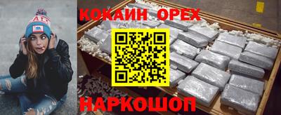 крисы Бийск