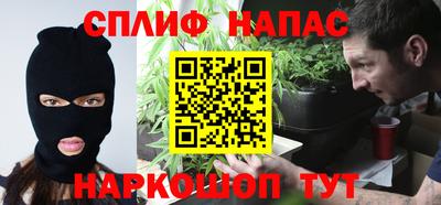 крисы Бийск