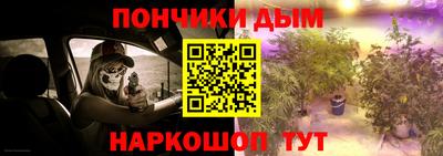 крисы Бийск