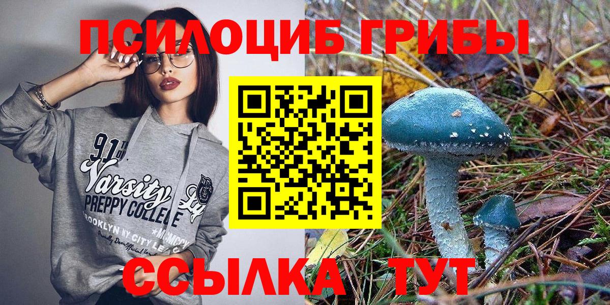 Псилоцибиновые грибы Magic Shrooms Качканар