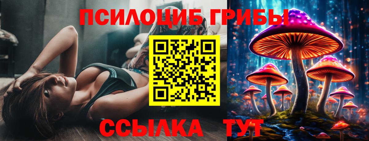 Псилоцибиновые грибы мицелий  Вход с VPN  Качканар 